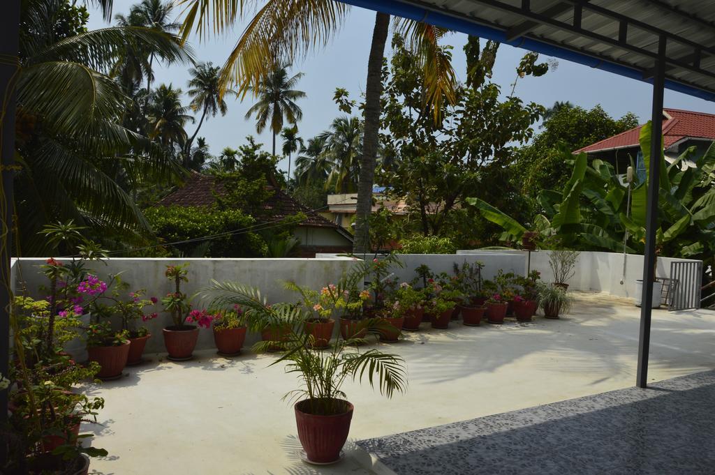 Aldos Ark * Kochi