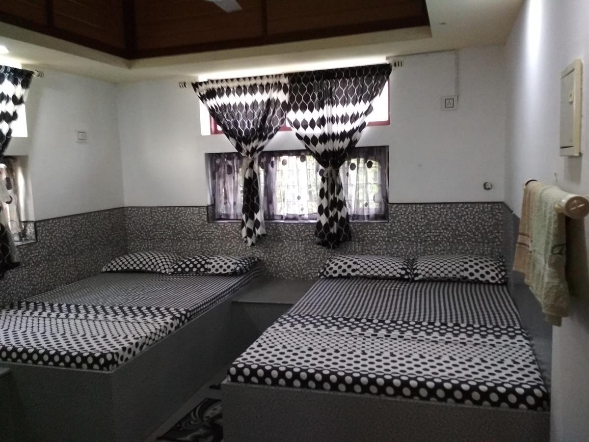 Aldos Ark * Kochi